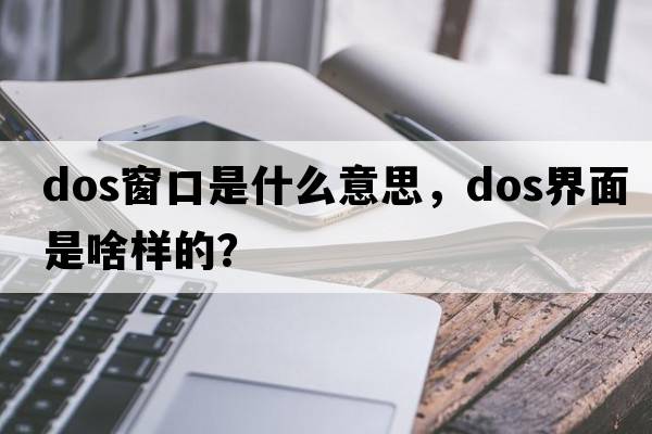 tefuir什么意思，有沒有大佬,知道TeFuir什么意思??？