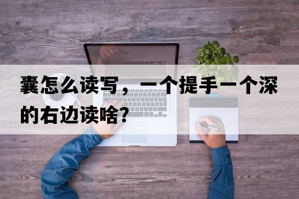 囊怎么讀寫，一個(gè)提手一個(gè)深的右邊讀啥？