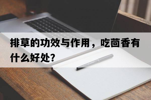 排草的功效與作用，吃茴香有什么好處？