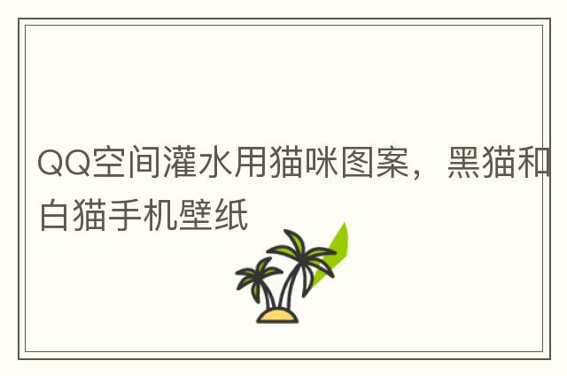 QQ空間灌水用貓咪圖案，黑貓和白貓手機(jī)壁紙
