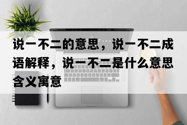說一不二的意思，說一不二成語解釋，說一不二是什么意思含義寓意