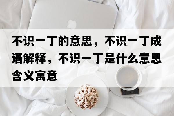 不識一丁的意思，不識一丁成語解釋，不識一丁是什么意思含義寓意