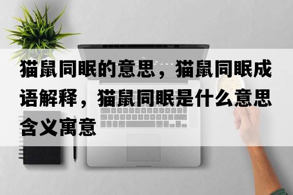貓鼠同眠的意思，貓鼠同眠成語解釋，貓鼠同眠是什么意思含義寓意