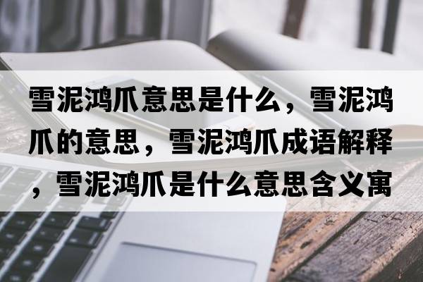 雪泥鴻爪意思是什么，雪泥鴻爪的意思，雪泥鴻爪成語解釋，雪泥鴻爪是什么意思含義寓意