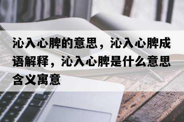 沁入心脾的意思，沁入心脾成語解釋，沁入心脾是什么意思含義寓意