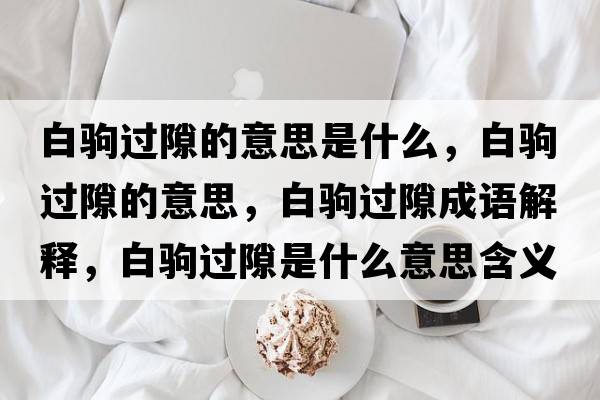 白駒過隙的意思是什么，白駒過隙的意思，白駒過隙成語解釋，白駒過隙是什么意思含義寓意