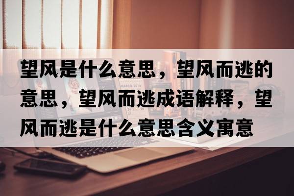 望風(fēng)是什么意思，望風(fēng)而逃的意思，望風(fēng)而逃成語解釋，望風(fēng)而逃是什么意思含義寓意