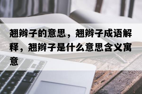 翹辮子的意思，翹辮子成語解釋，翹辮子是什么意思含義寓意