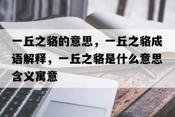 一丘之貉的意思，一丘之貉成語(yǔ)解釋，一丘之貉是什么意思含義寓意