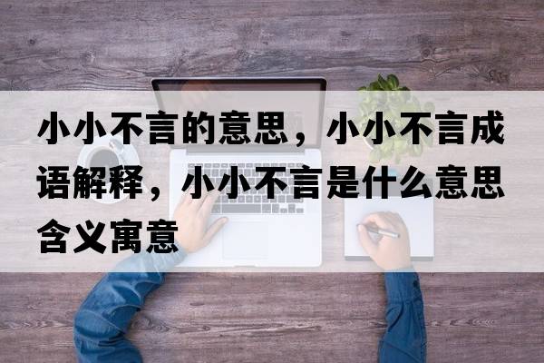 小小不言的意思，小小不言成語解釋，小小不言是什么意思含義寓意