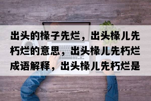 出頭的椽子先爛，出頭椽兒先朽爛的意思，出頭椽兒先朽爛成語解釋，出頭椽兒先朽爛是什么意思含義寓意