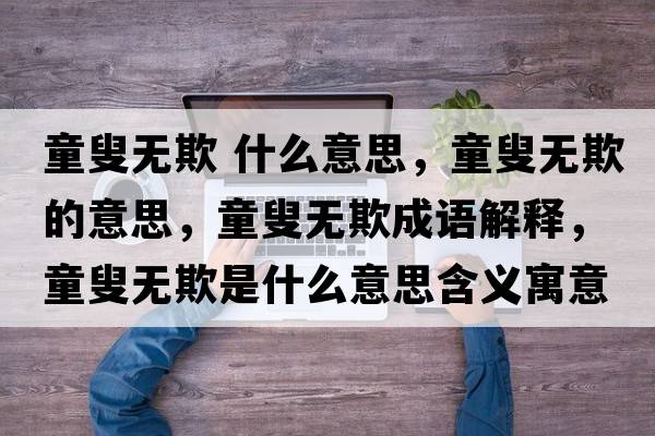 童叟無(wú)欺 什么意思，童叟無(wú)欺的意思，童叟無(wú)欺成語(yǔ)解釋，童叟無(wú)欺是什么意思含義寓意