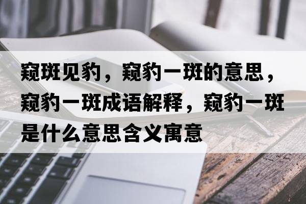 窺斑見(jiàn)豹，窺豹一斑的意思，窺豹一斑成語(yǔ)解釋，窺豹一斑是什么意思含義寓意