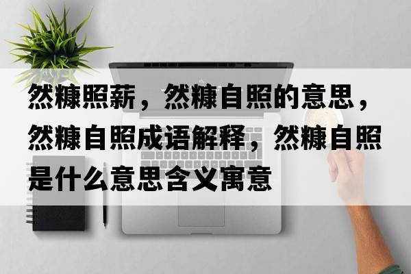 然糠照薪，然糠自照的意思，然糠自照成語解釋，然糠自照是什么意思含義寓意