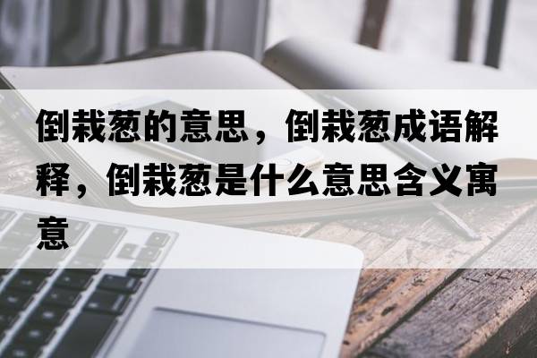 倒栽蔥的意思，倒栽蔥成語解釋，倒栽蔥是什么意思含義寓意