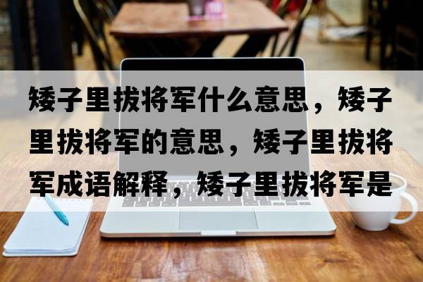 矮子里拔將軍什么意思，矮子里拔將軍的意思，矮子里拔將軍成語(yǔ)解釋，矮子里拔將軍是什么意思含義寓意