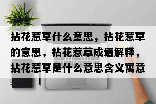 拈花惹草什么意思，拈花惹草的意思，拈花惹草成語(yǔ)解釋?zhuān)榛ㄈ遣菔鞘裁匆馑己x寓意