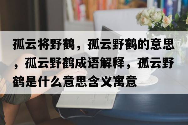 孤云將野鶴，孤云野鶴的意思，孤云野鶴成語解釋，孤云野鶴是什么意思含義寓意