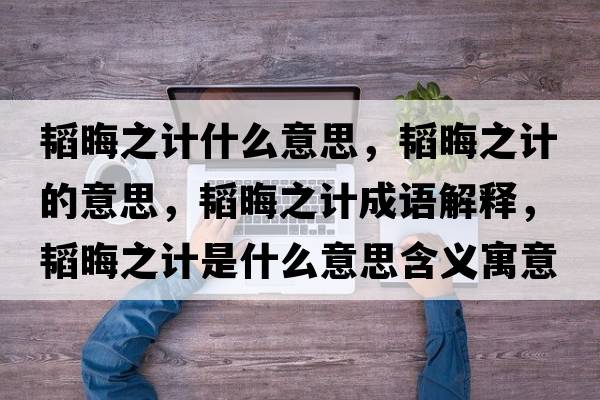 韜晦之計(jì)什么意思，韜晦之計(jì)的意思，韜晦之計(jì)成語解釋，韜晦之計(jì)是什么意思含義寓意