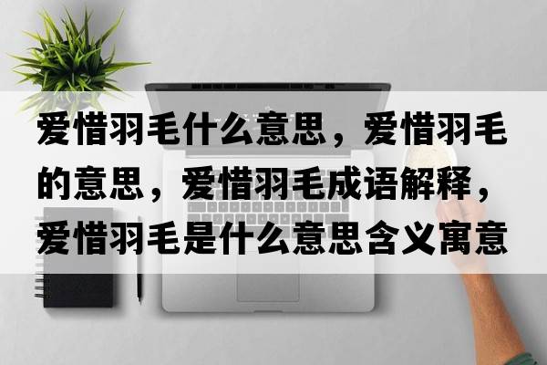 愛(ài)惜羽毛什么意思，愛(ài)惜羽毛的意思，愛(ài)惜羽毛成語(yǔ)解釋，愛(ài)惜羽毛是什么意思含義寓意