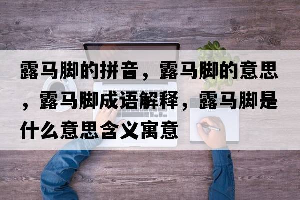 露馬腳的拼音，露馬腳的意思，露馬腳成語(yǔ)解釋，露馬腳是什么意思含義寓意