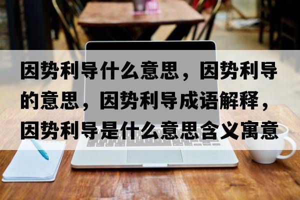 因勢利導(dǎo)什么意思，因勢利導(dǎo)的意思，因勢利導(dǎo)成語解釋，因勢利導(dǎo)是什么意思含義寓意