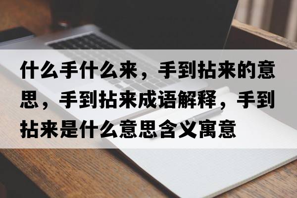 什么手什么來，手到拈來的意思，手到拈來成語解釋，手到拈來是什么意思含義寓意