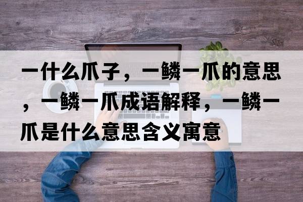 一什么爪子，一鱗一爪的意思，一鱗一爪成語解釋，一鱗一爪是什么意思含義寓意