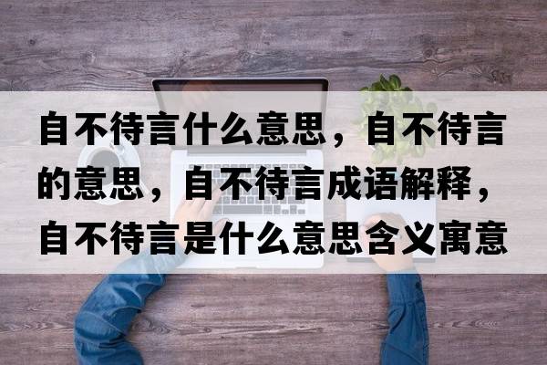 自不待言什么意思，自不待言的意思，自不待言成語解釋，自不待言是什么意思含義寓意