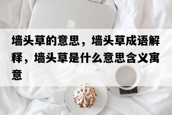 墻頭草的意思，墻頭草成語(yǔ)解釋?zhuān)瑝︻^草是什么意思含義寓意