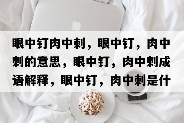 眼中釘肉中刺，眼中釘，肉中刺的意思，眼中釘，肉中刺成語解釋，眼中釘，肉中刺是什么意思含義寓意