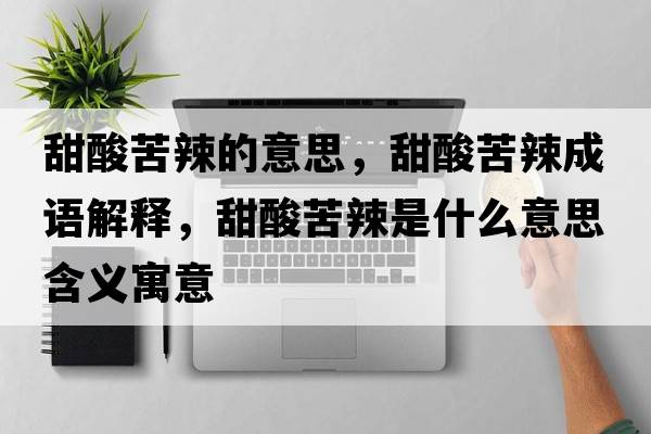 甜酸苦辣的意思，甜酸苦辣成語解釋，甜酸苦辣是什么意思含義寓意