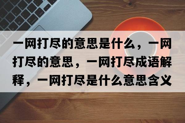 一網(wǎng)打盡的意思是什么，一網(wǎng)打盡的意思，一網(wǎng)打盡成語解釋，一網(wǎng)打盡是什么意思含義寓意