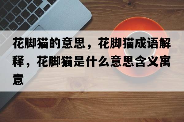 花腳貓的意思，花腳貓成語解釋，花腳貓是什么意思含義寓意