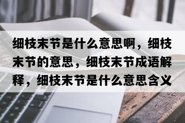 細(xì)枝末節(jié)是什么意思啊，細(xì)枝末節(jié)的意思，細(xì)枝末節(jié)成語(yǔ)解釋，細(xì)枝末節(jié)是什么意思含義寓意
