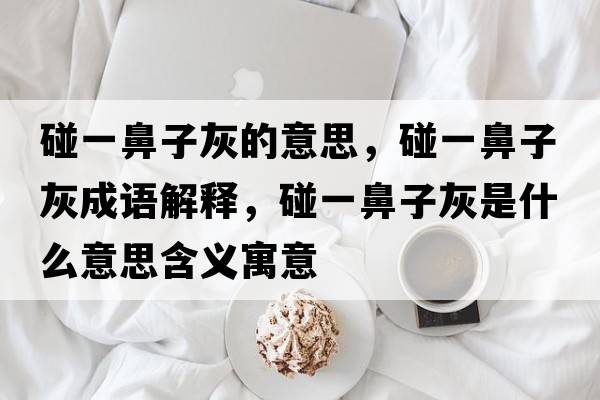 碰一鼻子灰的意思，碰一鼻子灰成語解釋，碰一鼻子灰是什么意思含義寓意