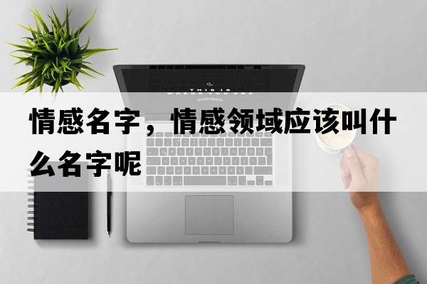 情感名字，情感領域應該叫什么名字呢