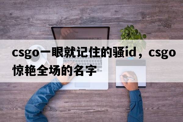 csgo一眼就記住的騷id，csgo驚艷全場(chǎng)的名字