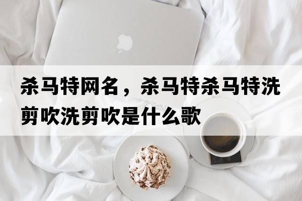 殺馬特網(wǎng)名，殺馬特殺馬特洗剪吹洗剪吹是什么歌