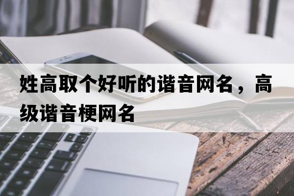 姓高取個好聽的諧音網(wǎng)名，高級諧音梗網(wǎng)名