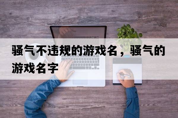 騷氣不違規(guī)的游戲名，騷氣的游戲名字