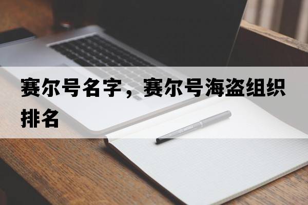 賽爾號名字，賽爾號海盜組織排名
