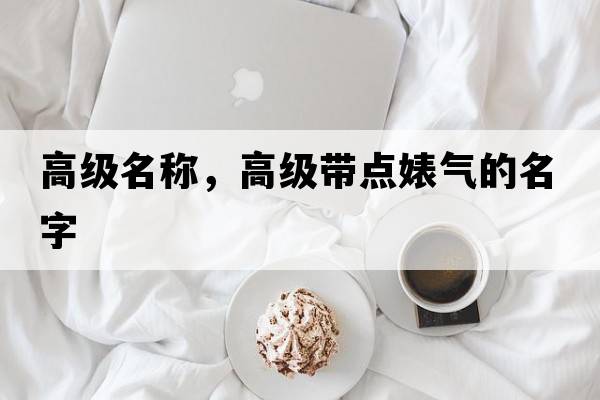 高級名稱，高級帶點婊氣的名字