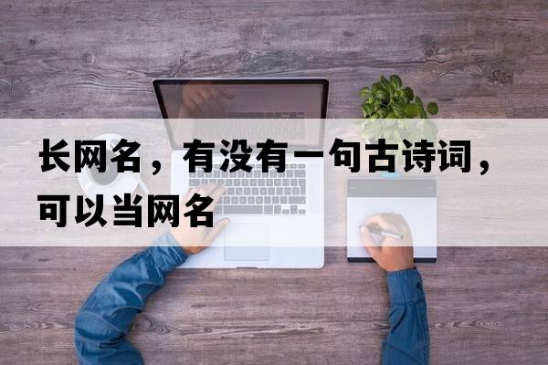 長(zhǎng)網(wǎng)名，有沒(méi)有一句古詩(shī)詞，可以當(dāng)網(wǎng)名