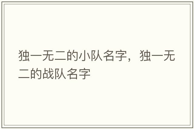 獨一無二的小隊名字，獨一無二的戰(zhàn)隊名字