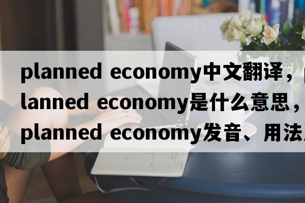 planned economy中文翻譯，planned economy是什么意思，planned economy發(fā)音、用法及例句