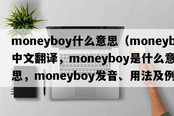 moneyboy什么意思（moneyboy中文翻譯，moneyboy是什么意思，moneyboy發(fā)音、用法及例句）