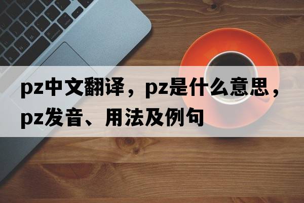 pz中文翻譯，pz是什么意思，pz發(fā)音、用法及例句