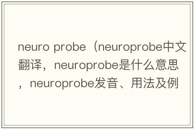 Neuro Probe（neuroprobe中文翻譯，neuroprobe是什么意思，neuroprobe發(fā)音、用法及例句）