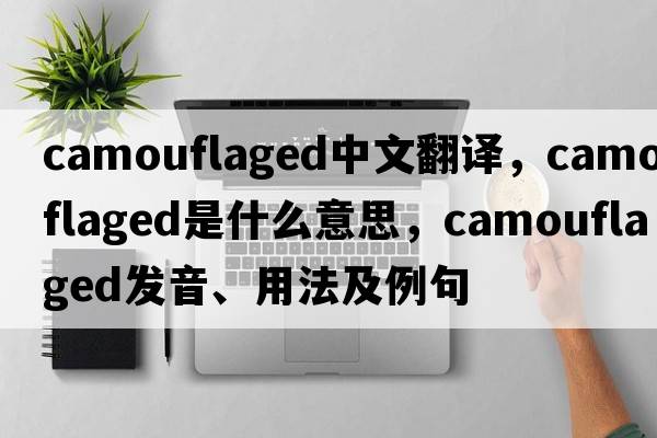 camouflaged中文翻譯，camouflaged是什么意思，camouflaged發(fā)音、用法及例句